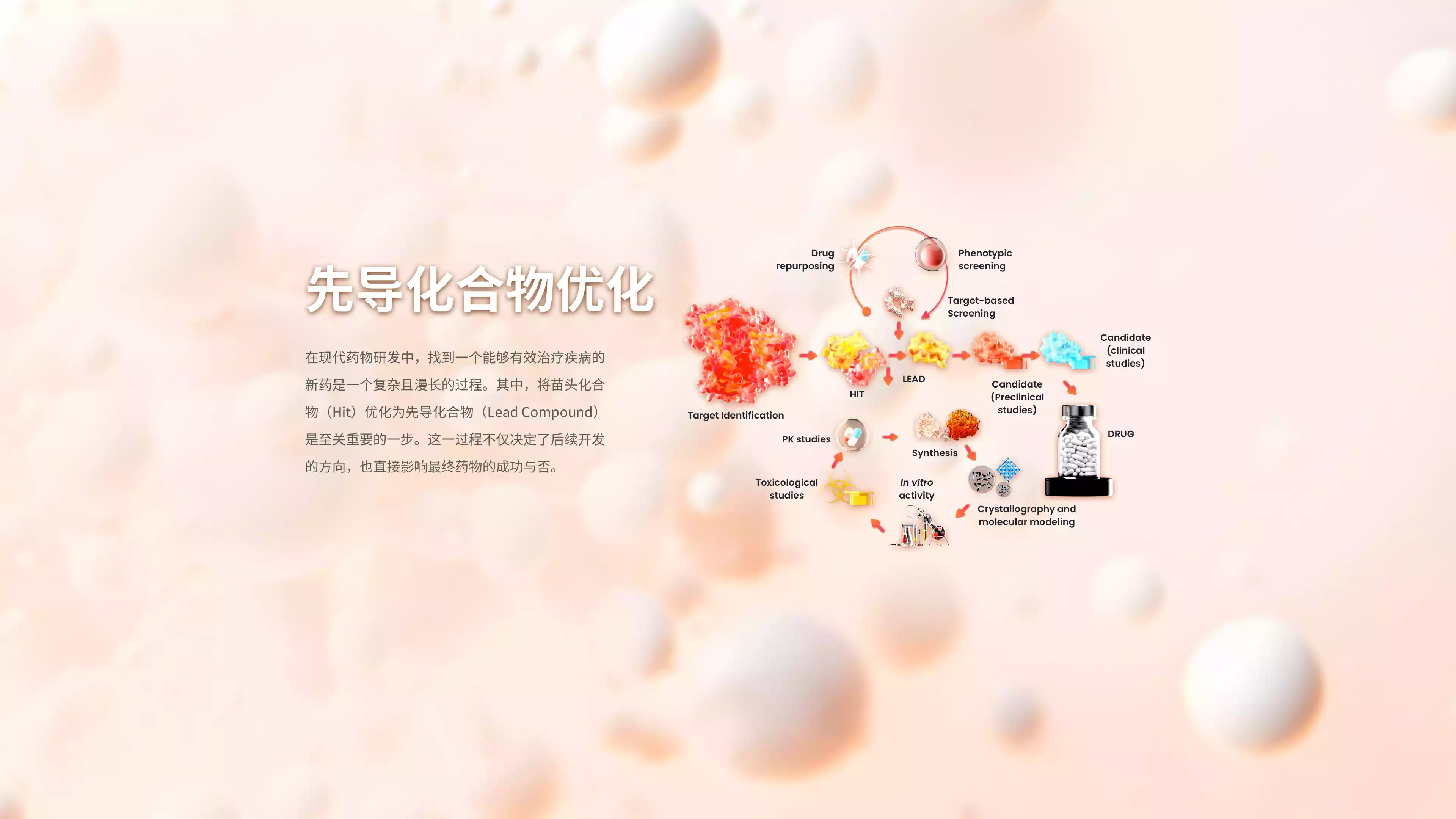 陶术生物undefined
