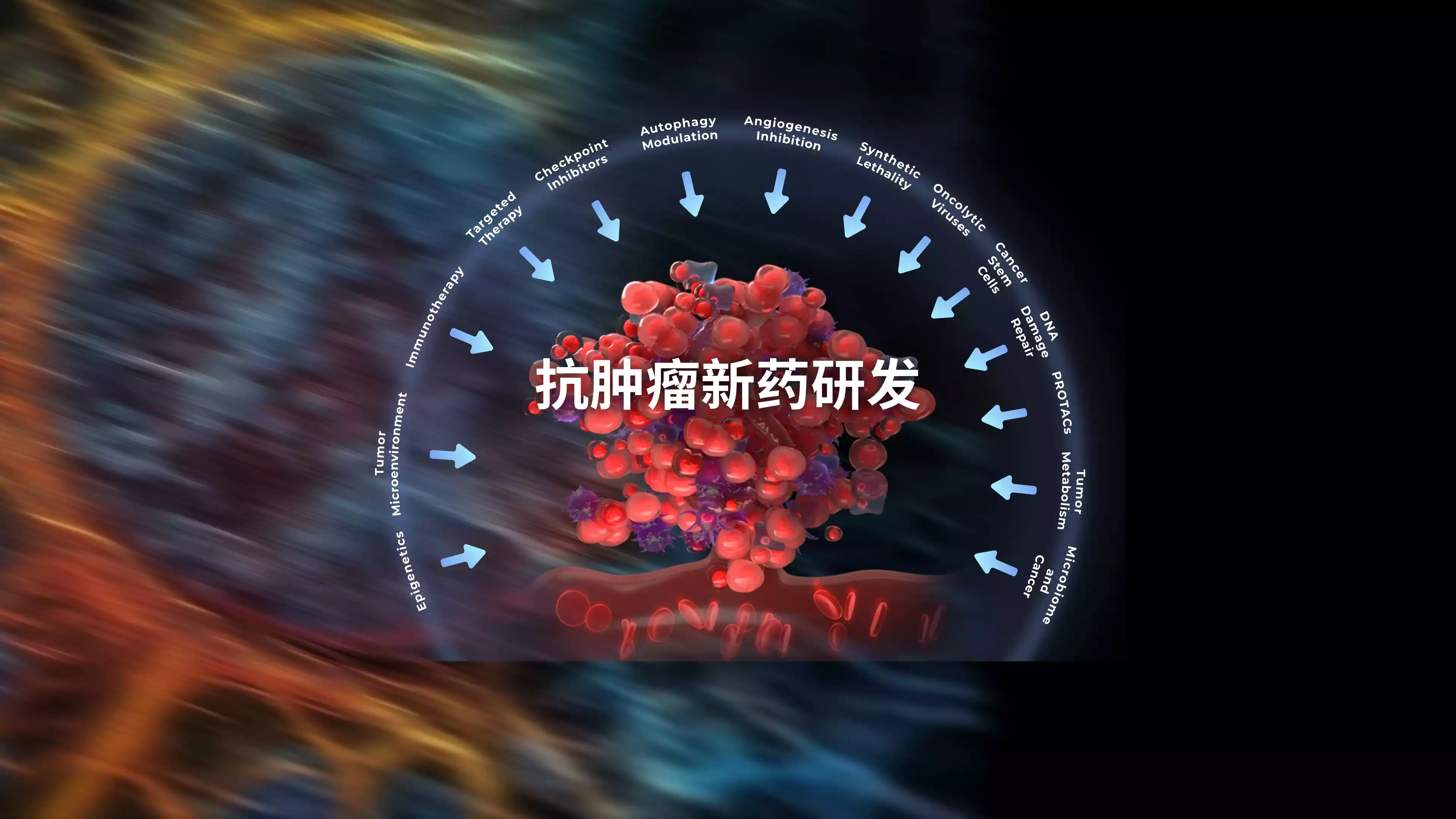 陶术生物undefined