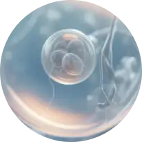 陶术生物 | 发育与生殖