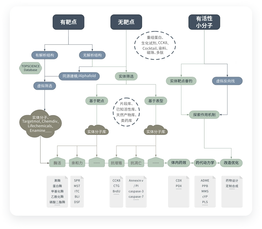筛选方案