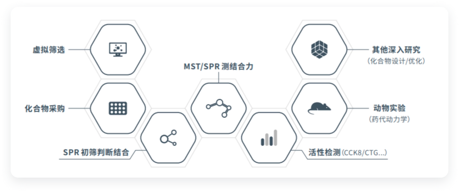 基于靶点结构的药物筛选方案