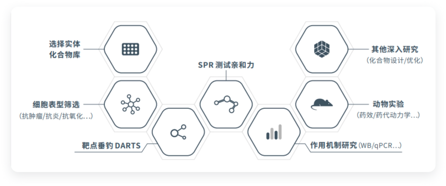 基于表型的药物筛选方案