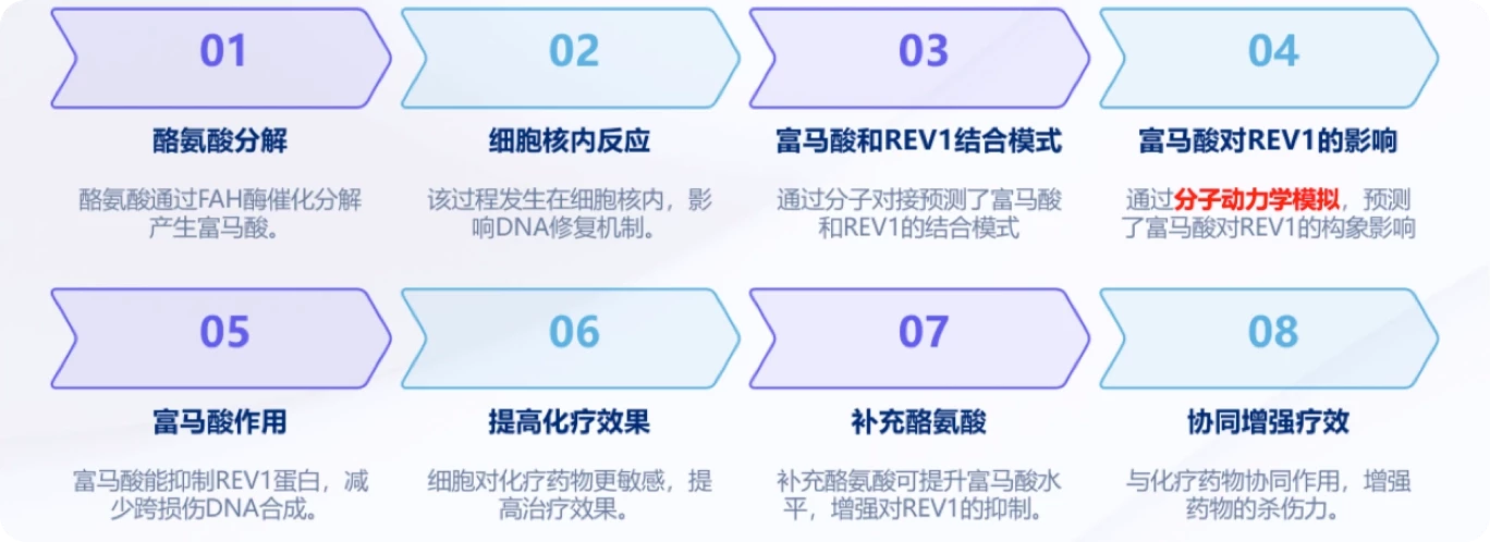 分析富马酸和FAH的结合模式及动力学性质流程