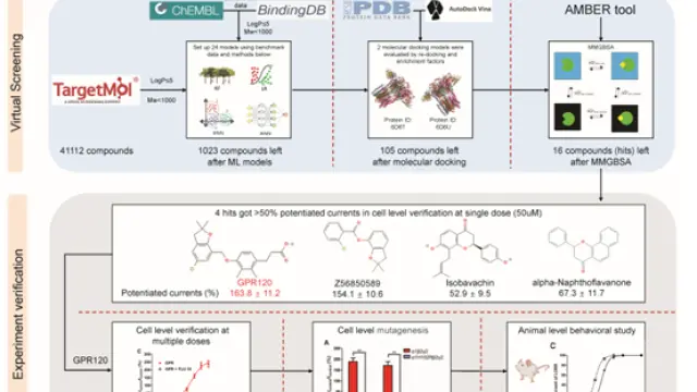 陶术生物【客户来稿】抗焦虑新药GPR120！TargetMol助力北大黄卓团队又出新成果
