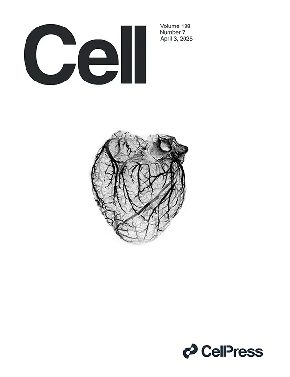 陶术生物Lysine vitcylation is a vitamin C-derived protein modification that enhances STAT1-mediated immune response