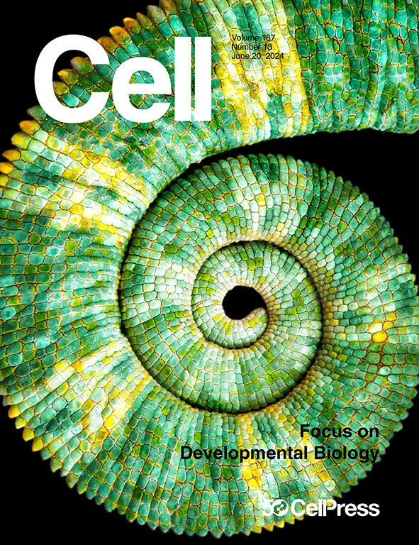 陶术生物Osr2 functions as a biomechanical checkpoint to aggravate CD8+ T cell exhaustion in tumor